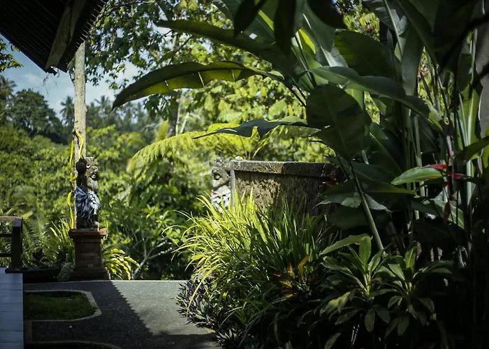 Angsoka Ubud